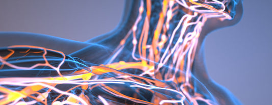 Unlocking the Power of Lymphatic System Stimulation