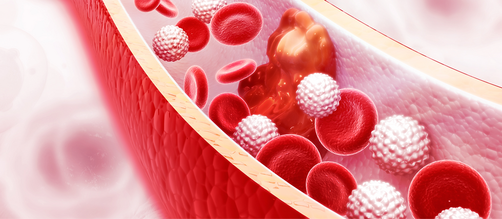 Cholesterol and Its Impact on Health: A Guide