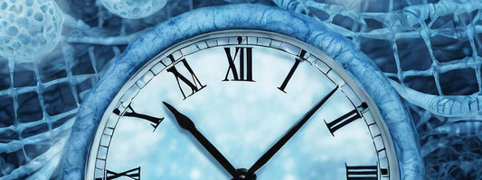 Understanding the 12 Hallmarks of Aging: Insights and Advances