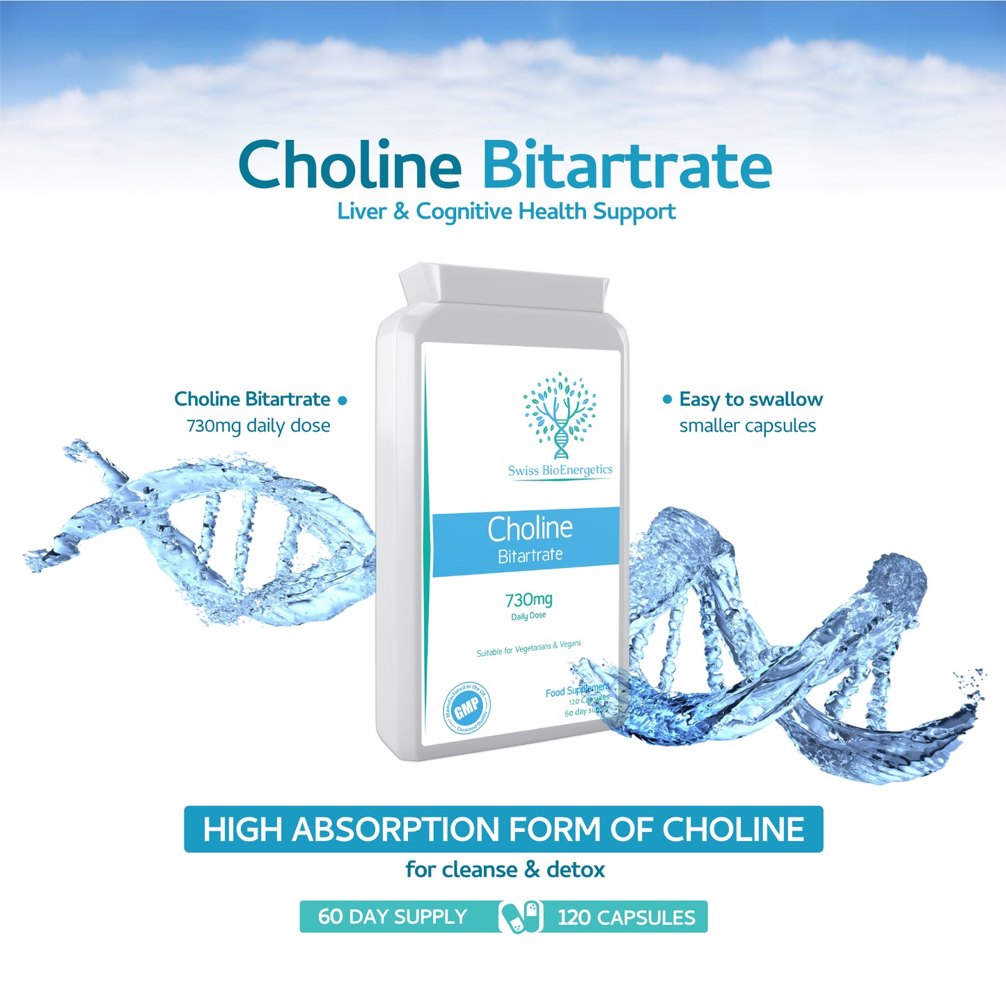 Choline Bitartrate 730mg Daily Dose, 120 Vegan Choline Supplement Capsules