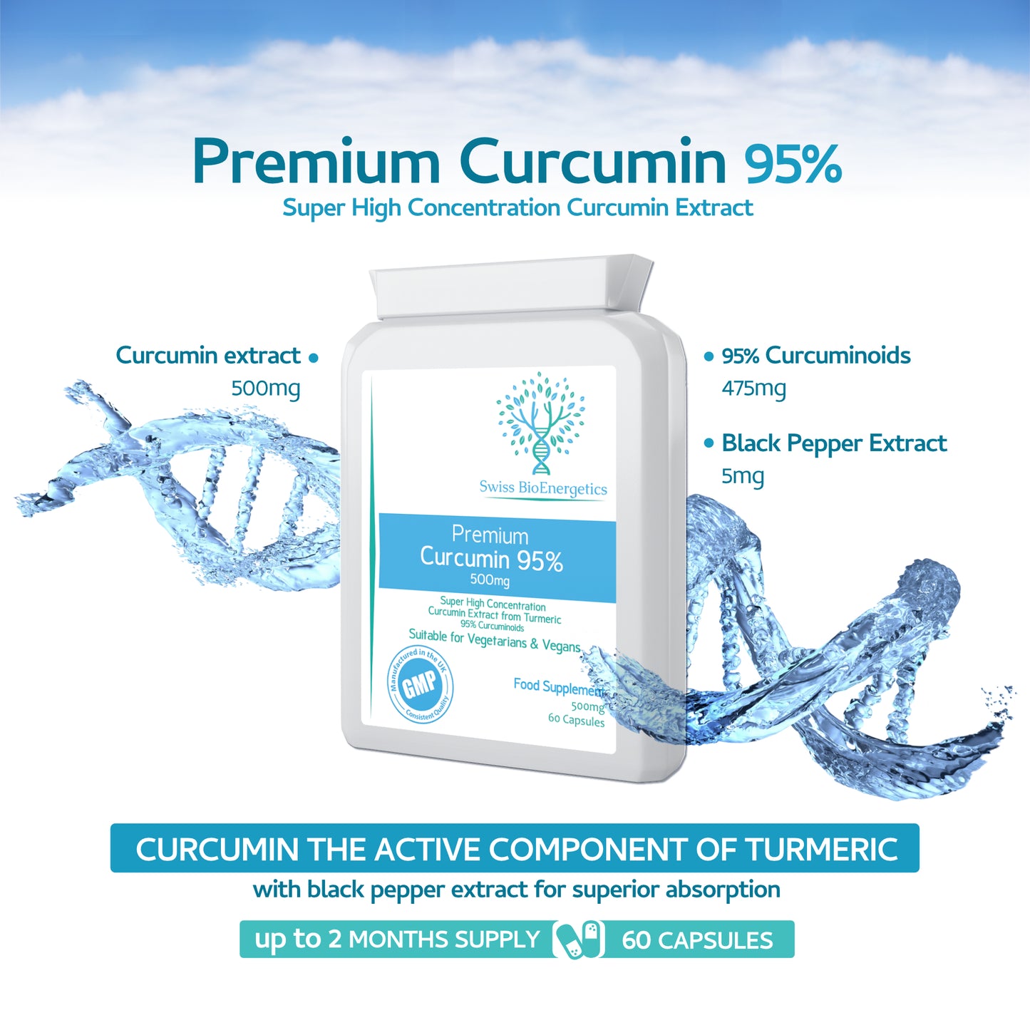 Premium Curcumin 95% with Black Pepper Extract 500mg - 60 Vegan Capsules