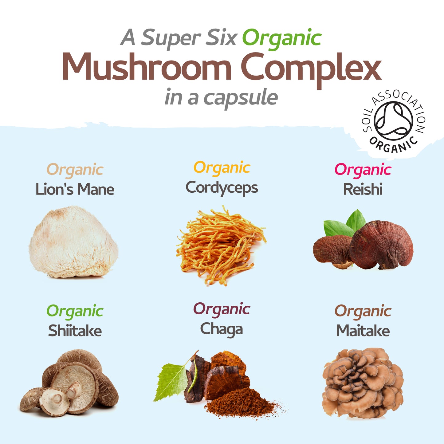 Mushroom Complex - 120 Capsules