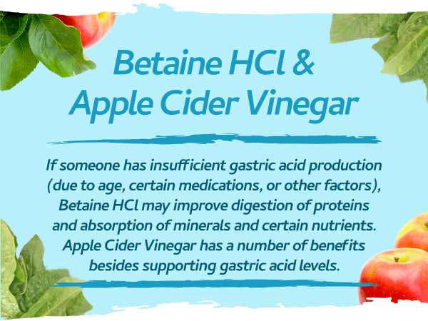 Vegan Digestive Enzymes with Betaine HCl