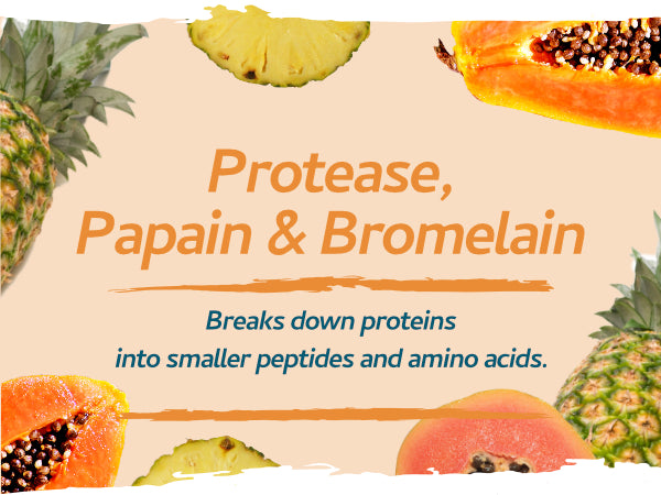 Vegan Digestive Enzymes with Betaine HCl